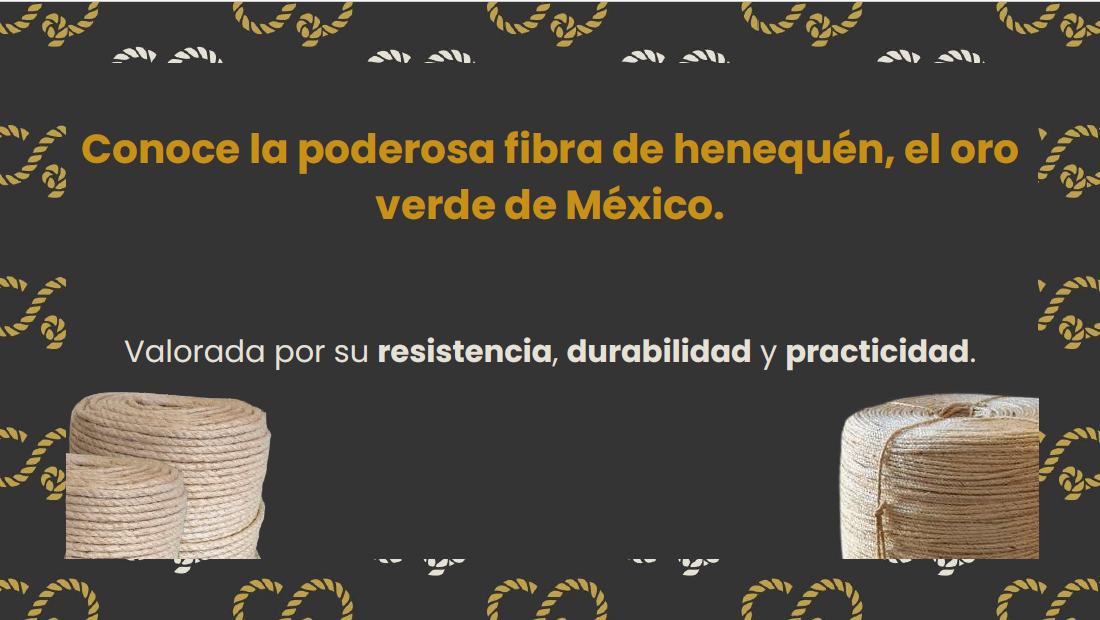 Jarcia de Henequén - Image 2